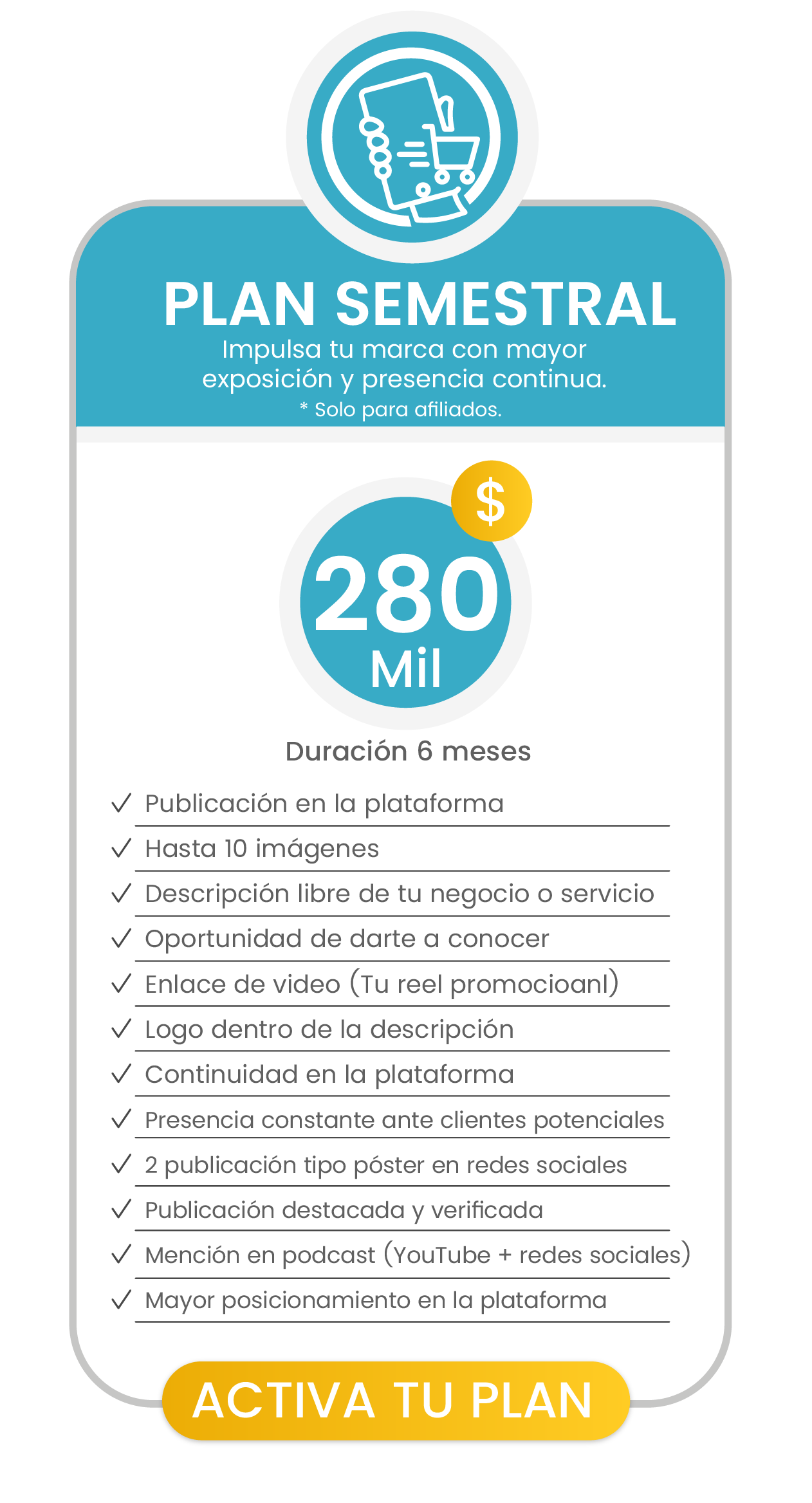 Plan Semestral