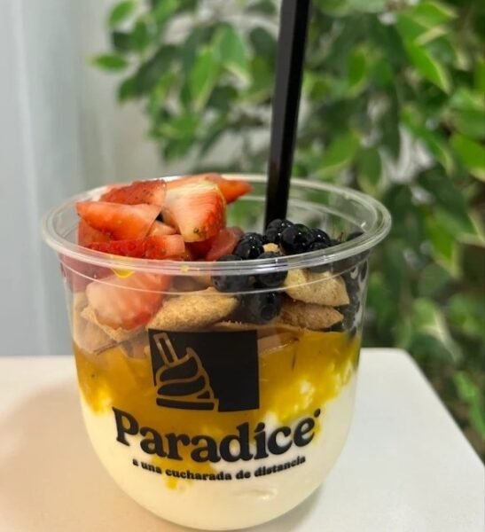 Heladería Paradice
