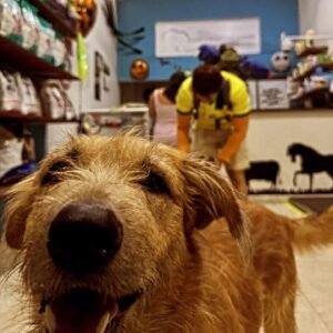 Clínica Veterinaria Kannes