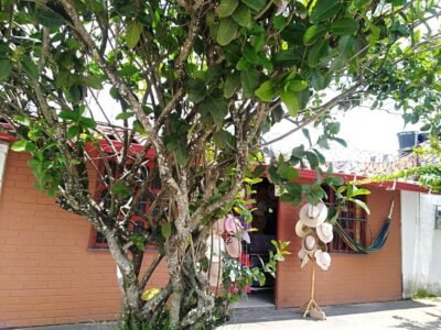 Artesanías Gladys Quijano