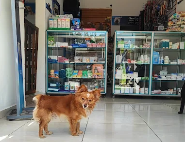 Clinica Veterinaria Anapoima