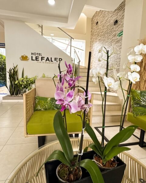Hotel Le Falep & Spa