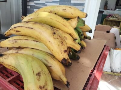 Frutas y Verduras Donde Mary