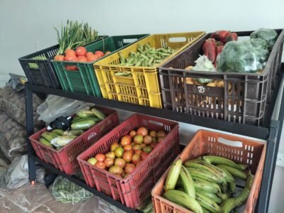 Frutas y Verduras Donde Mary