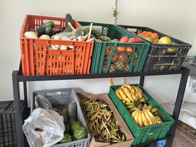 Frutas y Verduras Donde Mary